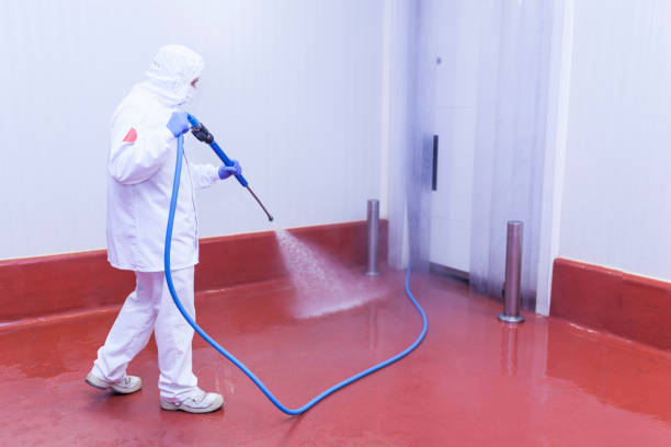 Best Gas Station Cleaning  in Paonia, CO