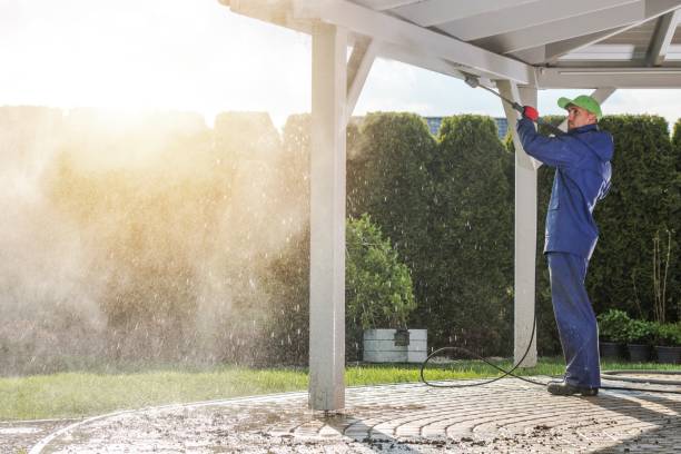 Professional  Pressure Washing Services in Paonia, CO
